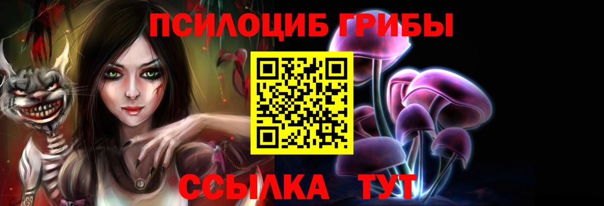 Галлюциногенные грибы Psilocybe  Псилоцибиновые грибы GOLDEN TEACHER  Вход с VPN  Орехово-Зуево 